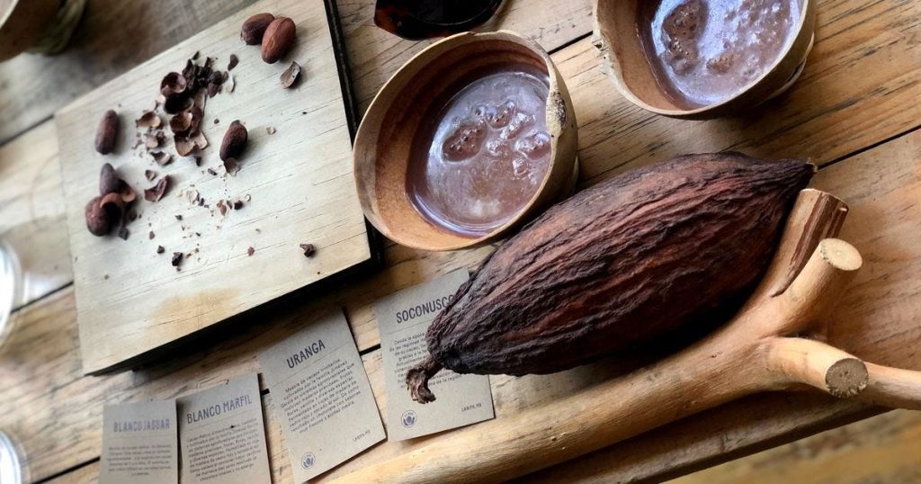 History on your Palate: Comparing the Cultural Roots of Ceremonial Cacao and Blue Lotus Tea. best coffee beans