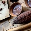 History on your Palate: Comparing the Cultural Roots of Ceremonial Cacao and Blue Lotus Tea.